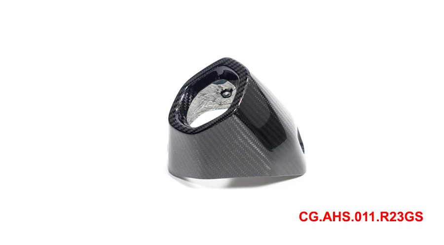 BMW R1300GS Carbon Exhaust Protector rear
