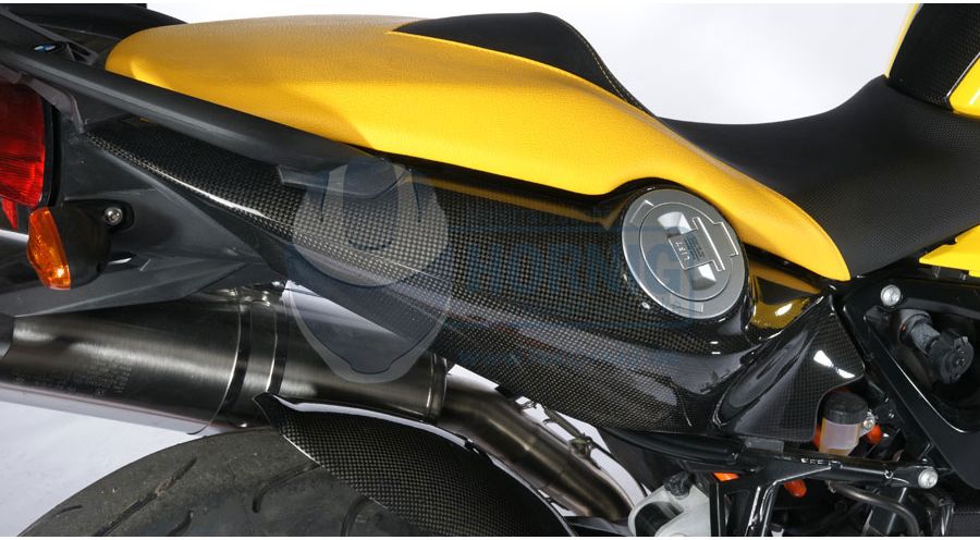 Carbon Tail Fairing Kit for BMW F800R | Motorcycle Accessory Hornig